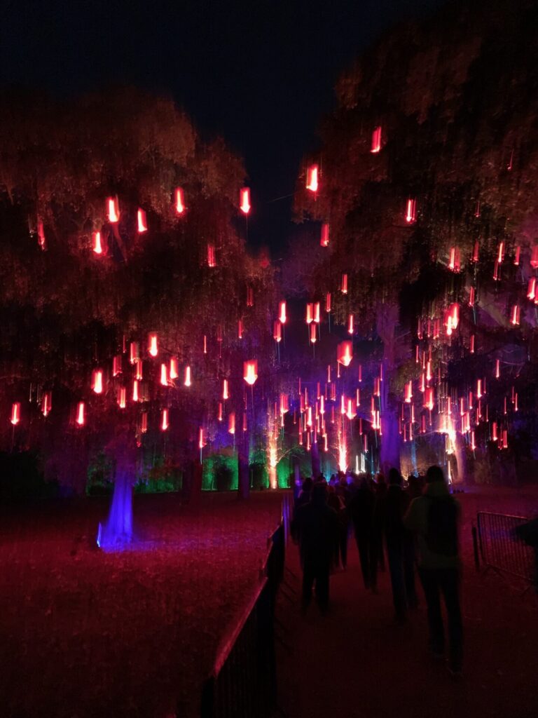 Kew Gardens - Christmas lights