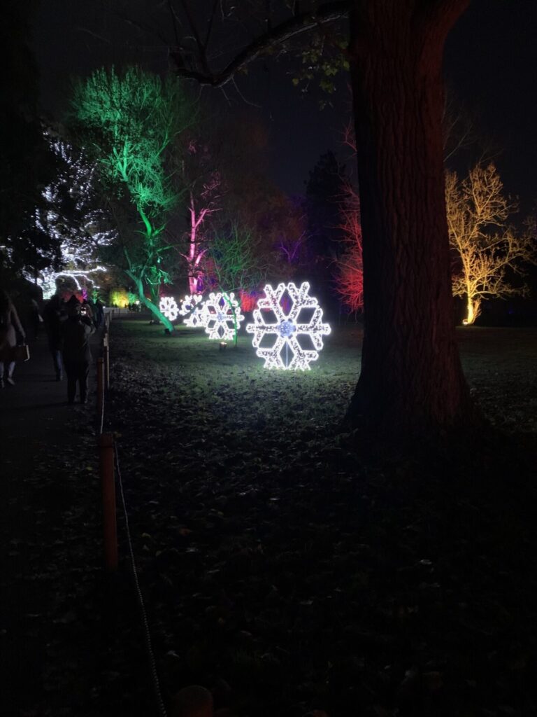 Kew Gardens - Christmas lights