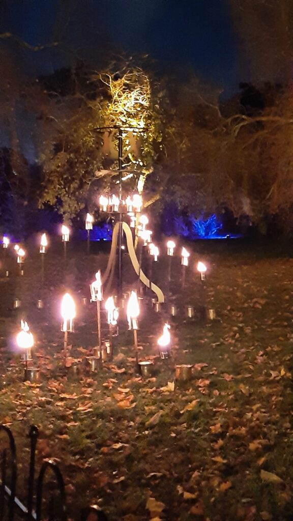 Kew Gardens - Christmas lights