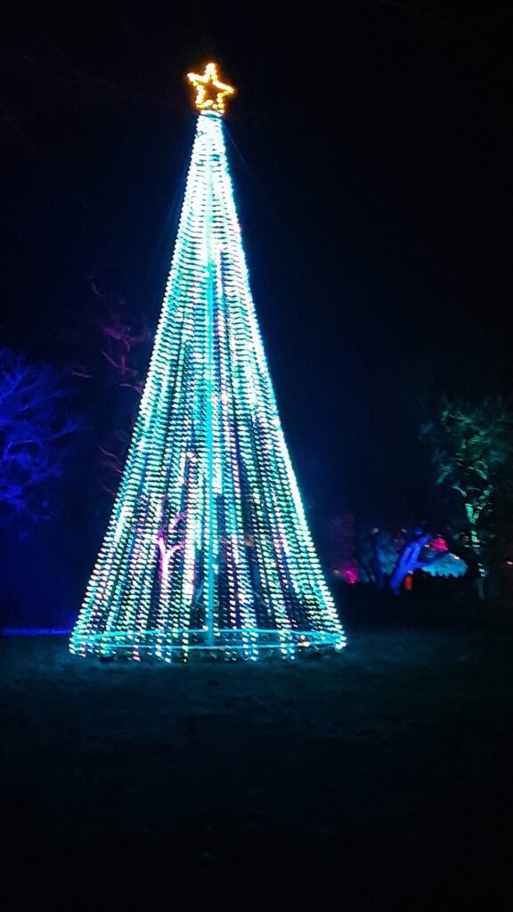 Kew Gardens - Christmas lights