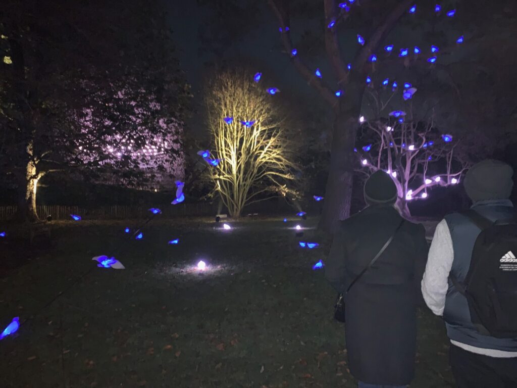 Kew Gardens - Christmas lights