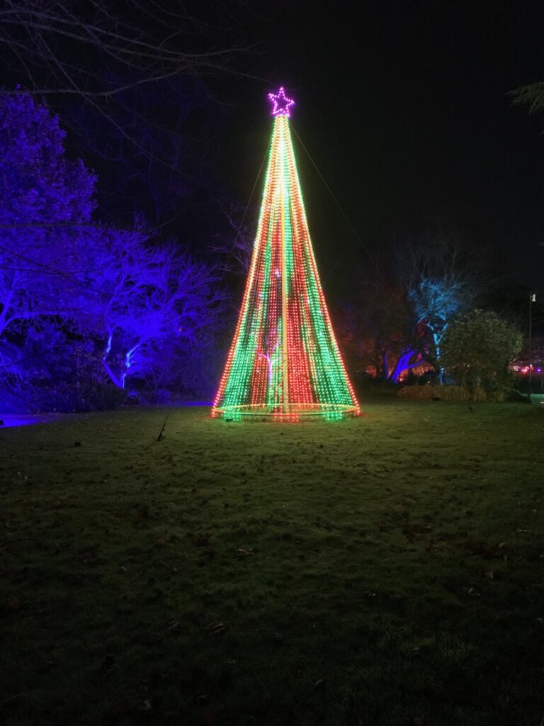 Kew Gardens - Christmas lights