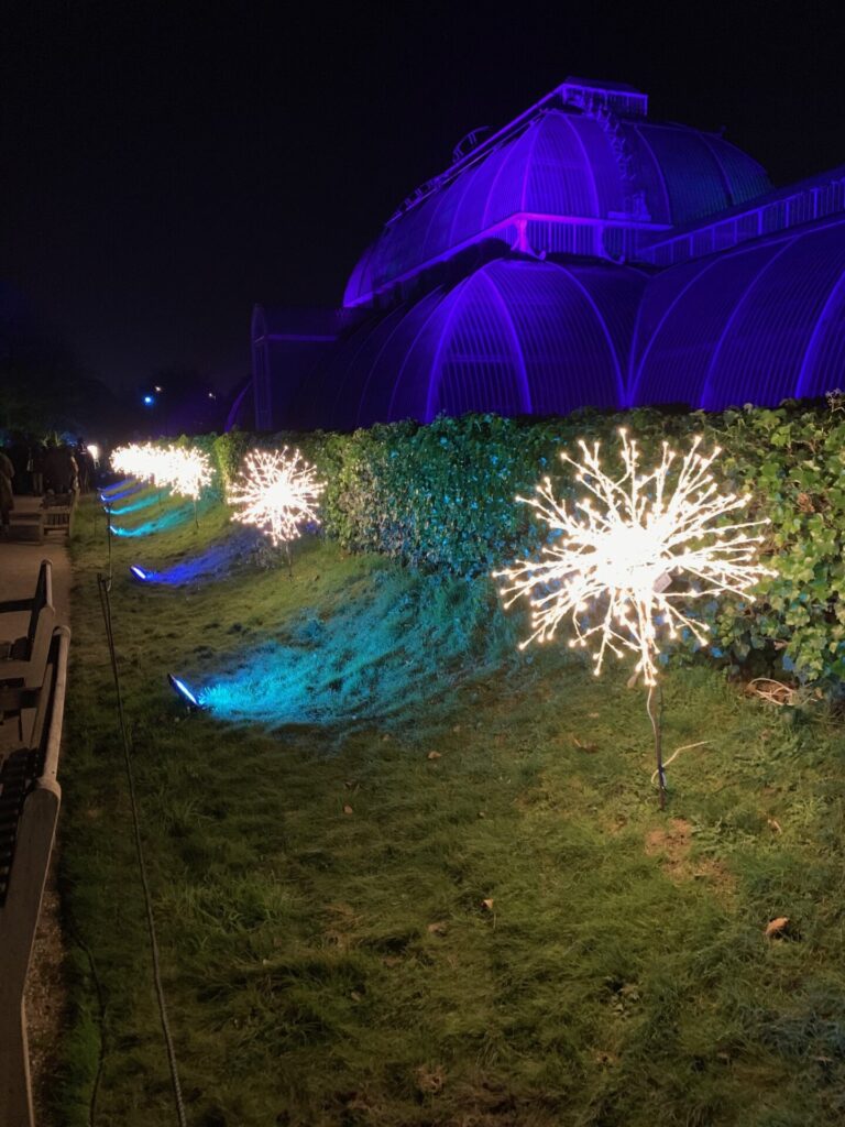 Kew Gardens - Christmas lights