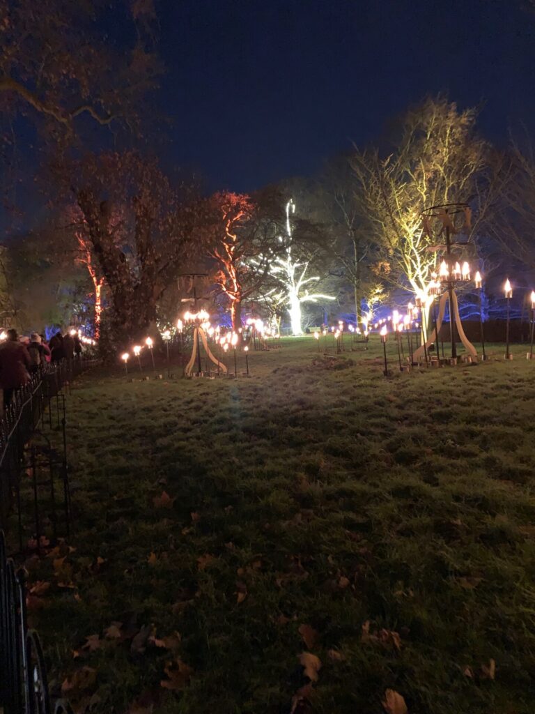 Kew Gardens - Christmas lights
