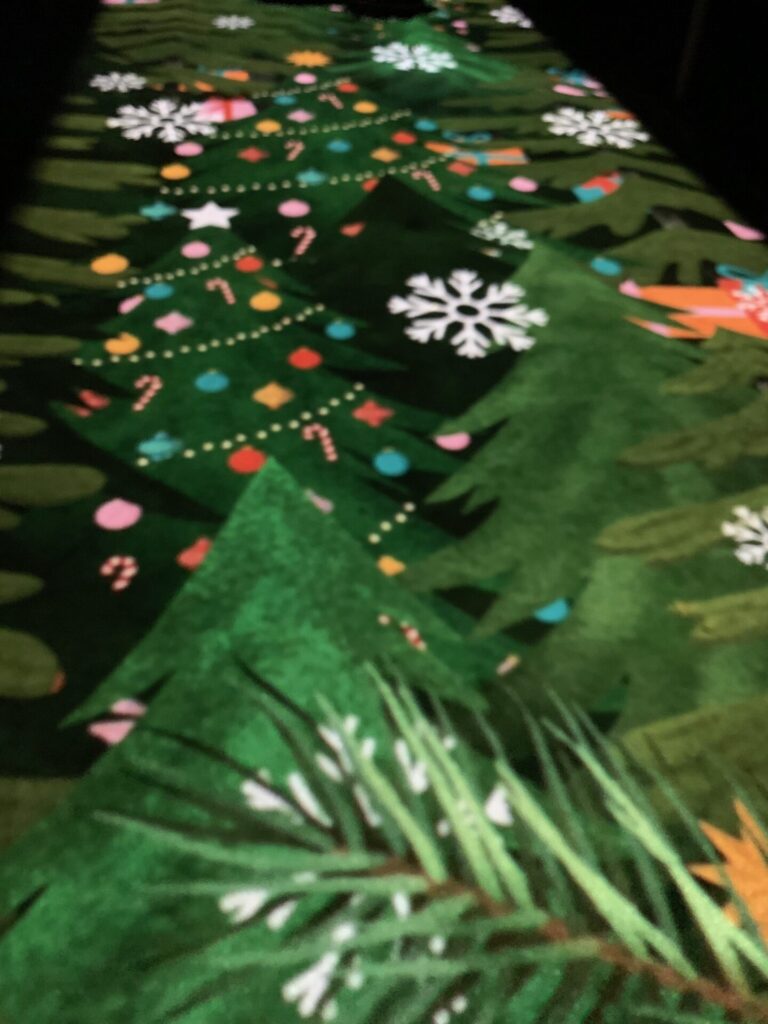 Kew Gardens - Christmas lights