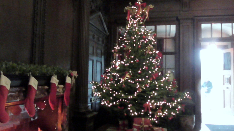 Pollesdon Lacey at Christmas