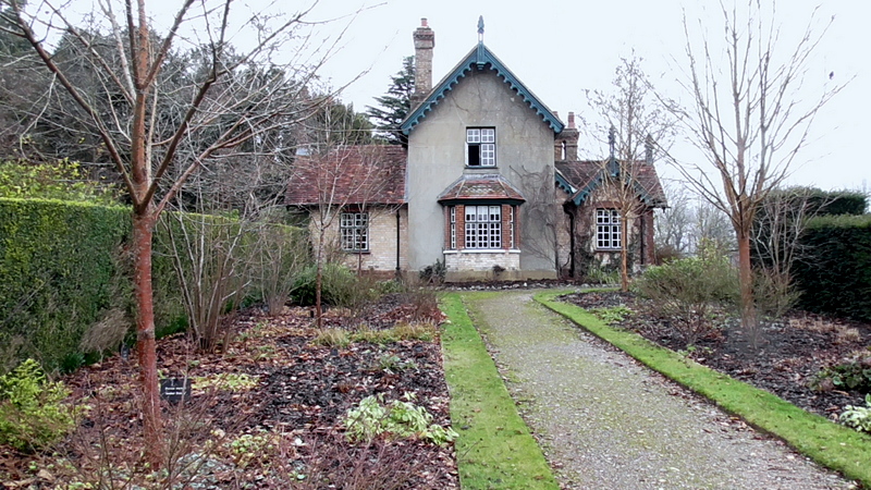 Pollesdon Lacey at Christmas