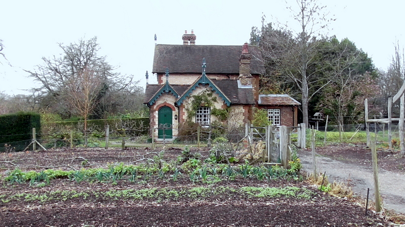 Pollesdon Lacey at Christmas