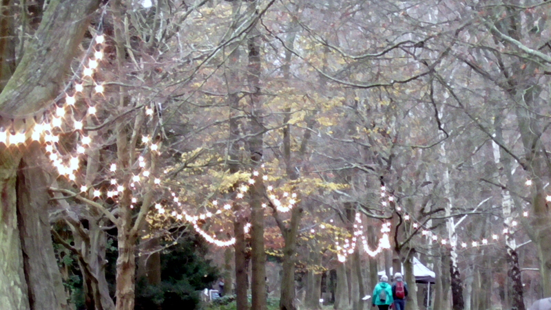 Pollesdon Lacey at Christmas